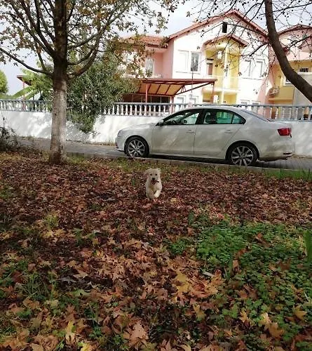 Sato 4* Φετιγιέ