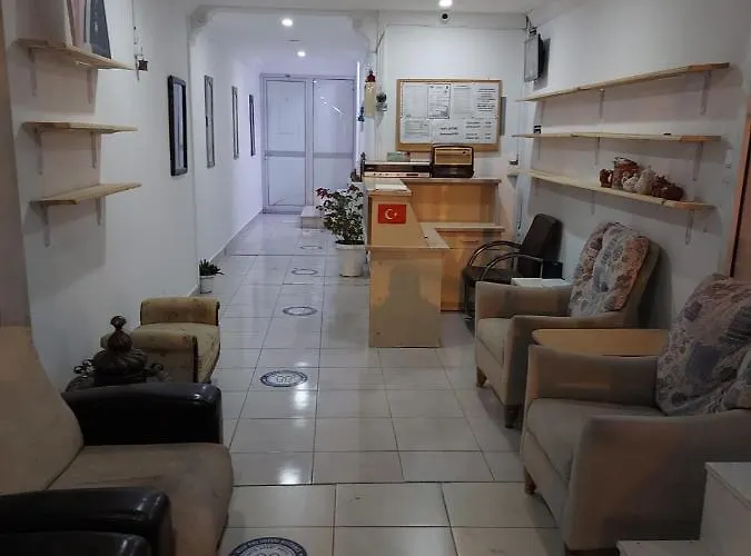 公寓式酒店 Sato 费特希耶